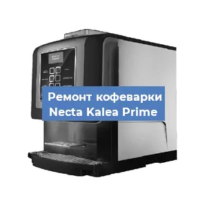 Чистка кофемашины Necta Kalea Prime от кофейных масел в Екатеринбурге